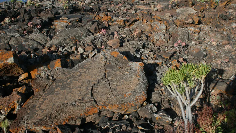 La obra nueva se reduce a la mínima expresión en El Hierro por las restricciones de la Reserva de la Biosfera