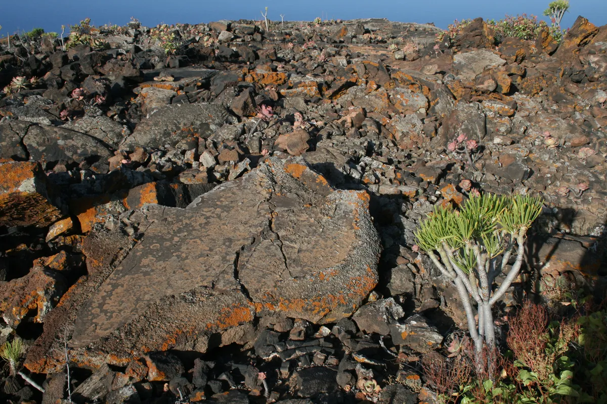 La obra nueva se reduce a la mínima expresión en El Hierro por las restricciones de la Reserva de la Biosfera