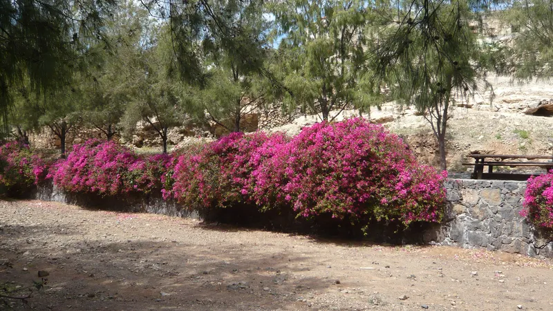 El pueblo de Pájara pierde vecinos mientras la costa de su propio municipio se dispara en precio