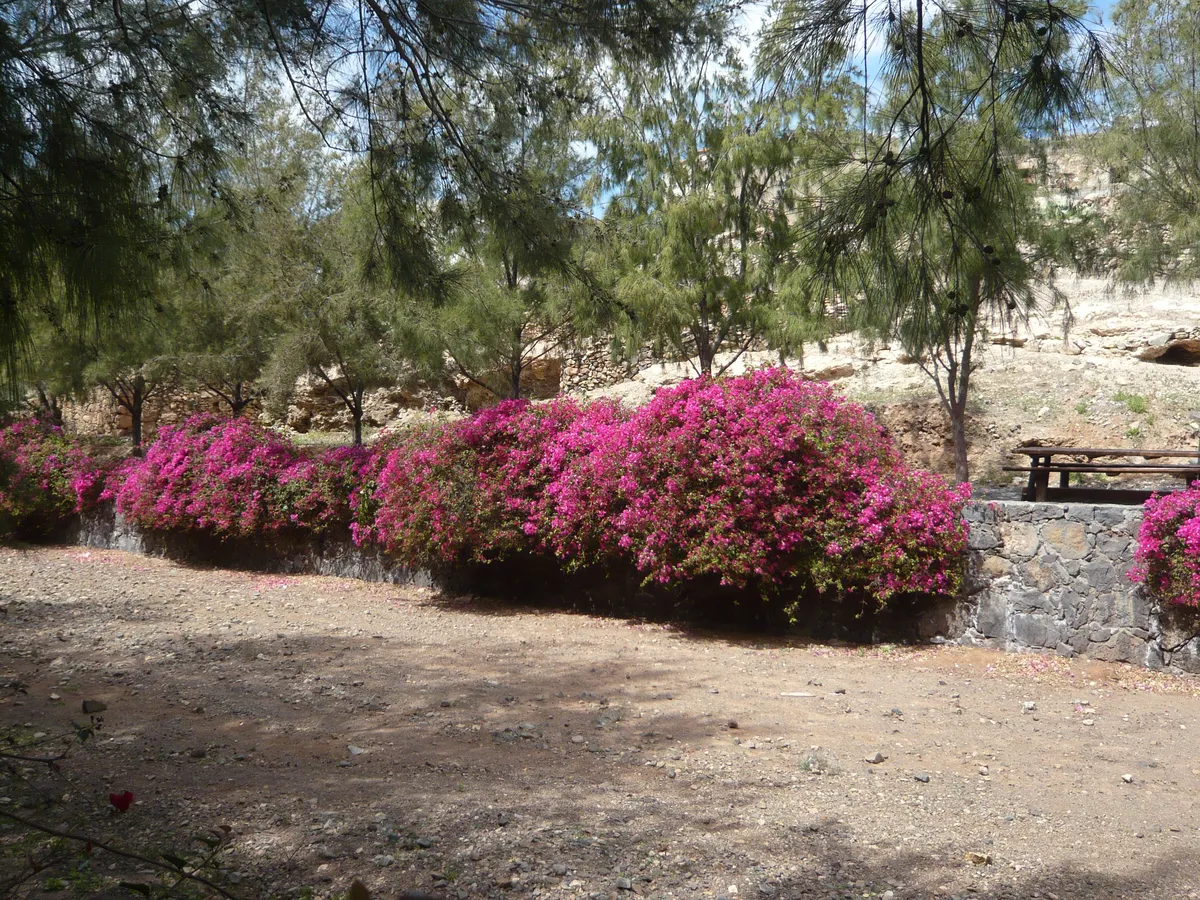 El pueblo de Pájara pierde vecinos mientras la costa de su propio municipio se dispara en precio