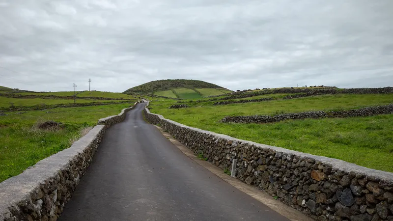 El suelo agrícola y los viñedos de Graciosa, un patrimonio que frena la construcción