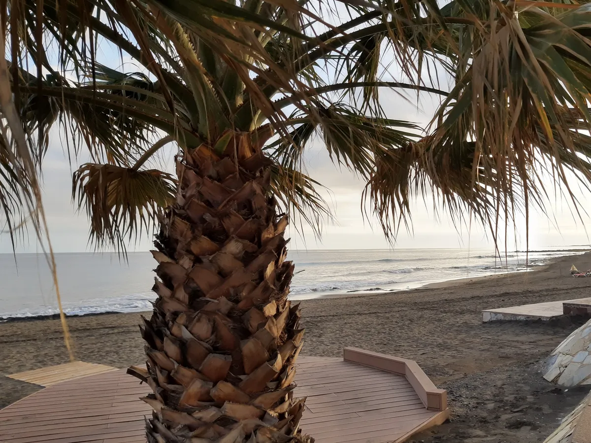 Los hoteles del sur de Gran Canaria no encuentran alojamiento para su plantilla ante la falta de vivienda asequible en San Agustín