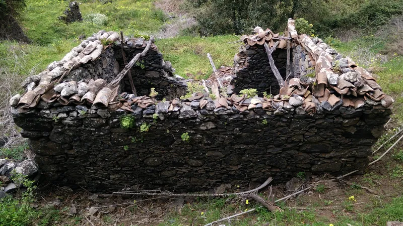 El Parque Nacional de Garajonay limita la construcción y deja viviendas abandonadas en su entorno