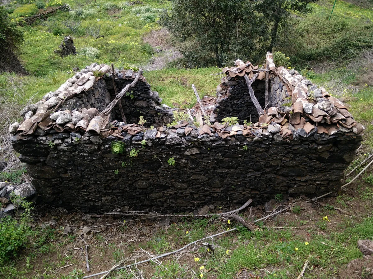 El Parque Nacional de Garajonay limita la construcción y deja viviendas abandonadas en su entorno