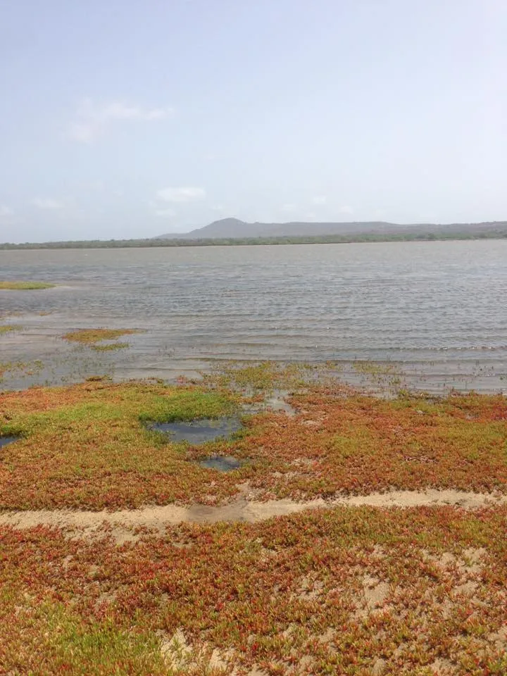 Las salinas de Porto Inglês, entre el abandono industrial y las primeras propuestas de reconversión inmobiliaria