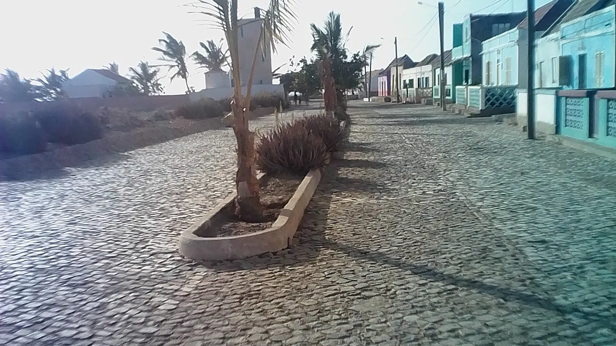 En Calheta y Morro, la ganadería sigue marcando el uso del suelo por delante de cualquier proyecto residencial