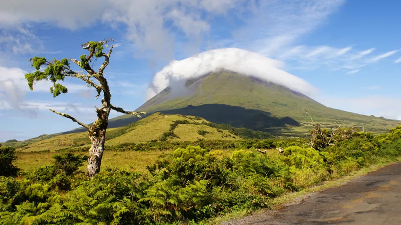 La protección de la Montanha do Pico bloquea nuevas licencias de construcción en su entorno