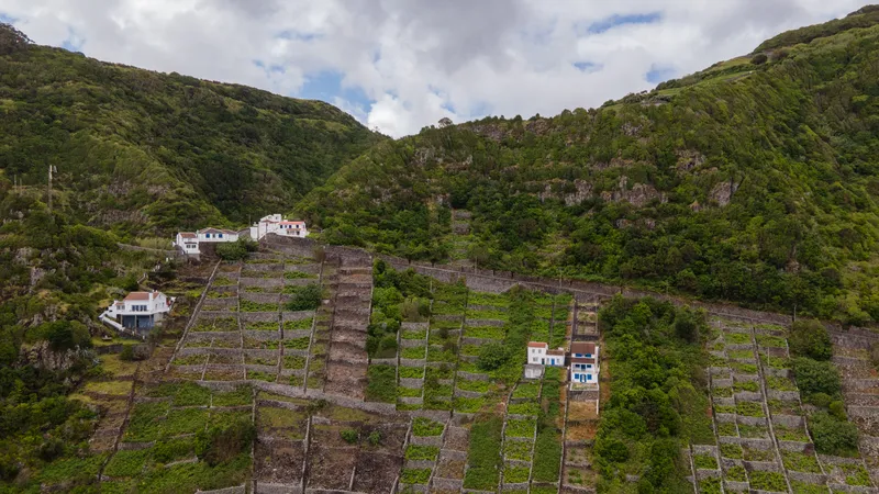 La agricultura frena el ladrillo en los núcleos rurales de Almagreira y Santa Bárbara