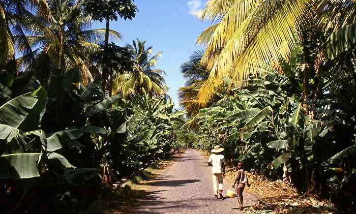 São Domingos resiste la presión urbanizadora mientras el precio de la tierra agrícola se dispara