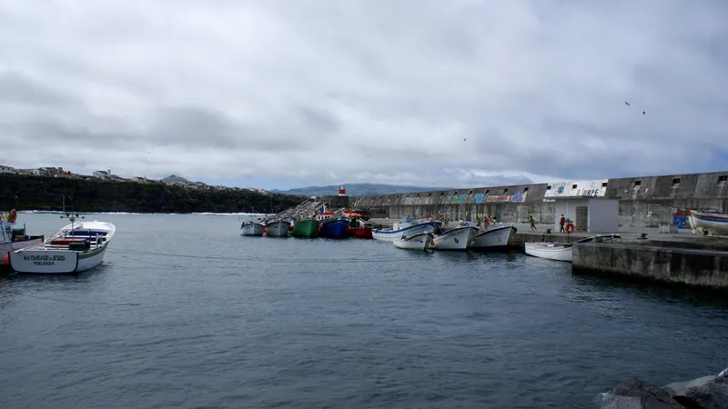 El auge del avistamiento de ballenas encarece la vivienda en la costa norte, entre Maia y Rabo de Peixe